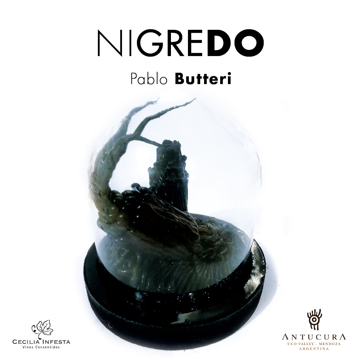 Nigredo de Pablo Butteri